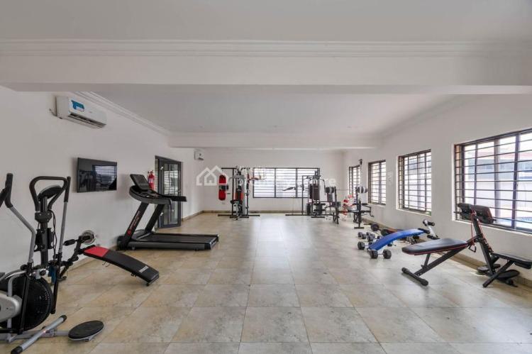 Sparkling and Colorful 3 Bedrooms, Chisco, Ikate, Lekki, Lagos, Terraced Duplex Short Let