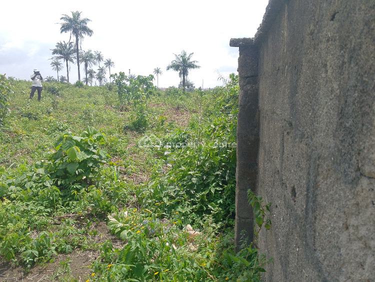 Affordable Dry,buy Build and Pack in Land with C of O., Odomola Epe-ibeju Lekki Expressway, Epe, Lagos, Residential Land for Sale