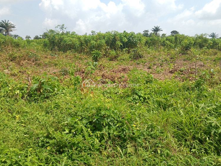 Affordable Dry,buy Build and Pack in Land with C of O., Odomola Epe-ibeju Lekki Expressway, Epe, Lagos, Residential Land for Sale