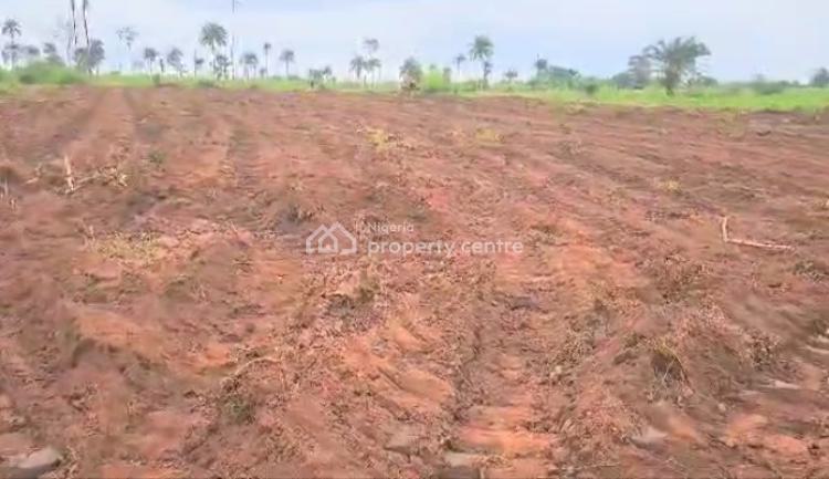Estate Land in Issele Uku Asaba. in a Prime Location., Ubulu Okiti, Delta State., Asaba, Delta, Residential Land for Sale