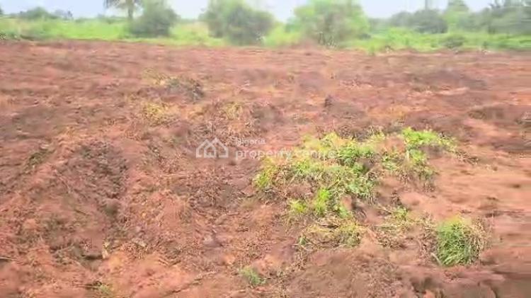 Estate Land in Issele Uku Asaba. in a Prime Location., Ubulu Okiti, Delta State., Asaba, Delta, Residential Land for Sale