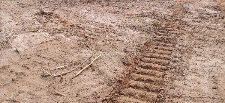 Buy 6 and Get 1 Plot Free in a Most Sought After Location, Imota - Agbowa Road, Agbowa, Ikorodu, Lagos, Mixed-use Land for Sale