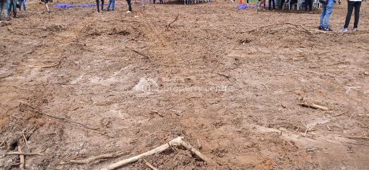 Buy 6 and Get 1 Plot Free in a Most Sought After Location, Imota - Agbowa Road, Agbowa, Ikorodu, Lagos, Mixed-use Land for Sale