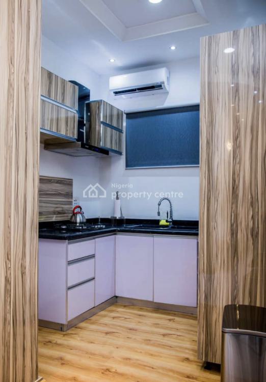 Furnished Apartment Executive 2 Bedrooms, Plot 113 Jayjay Oladimeji Close, Lekki Phase 1, Lekki, Lagos, Flat / Apartment for Rent