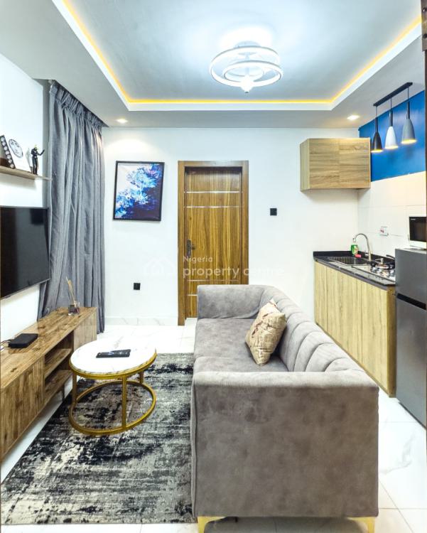 1 Bedroom Apartment, Memudu Aremu Street, Surulere, Lagos, Mini Flat (room and Parlour) Short Let