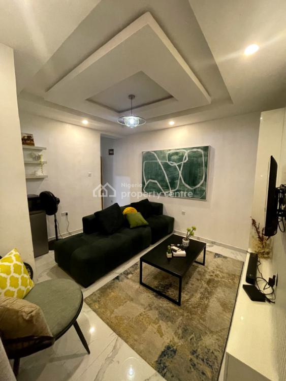 Beautiful 1 Bedroom Apartment, Ilupeju, Lagos, Mini Flat (room and Parlour) Short Let