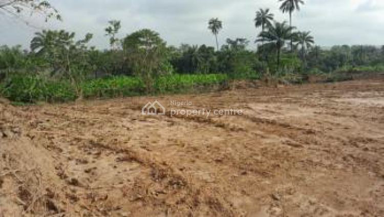 Choicest Land in a Strategic and Beautiful Location, Kanu Nwankwo a.k.a Papilo Villa Estate Avu-obosima, Avu, Owerri West, Imo, Land for Sale