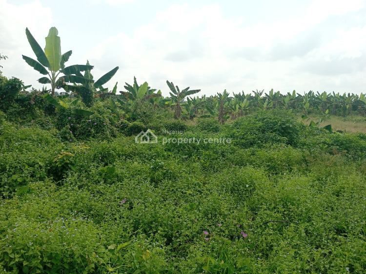Land for Residential and  and Commercial Zones, Imodi Ijasi, Ijebu Ode, Ogun, Mixed-use Land for Sale