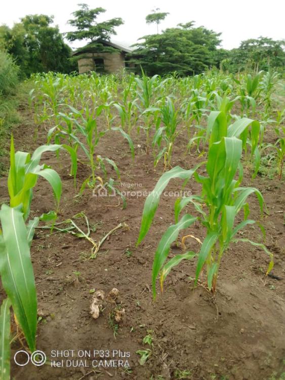 20 Acres Farm Land, Eleyele, Ibadan, Oyo, Mixed-use Land for Sale
