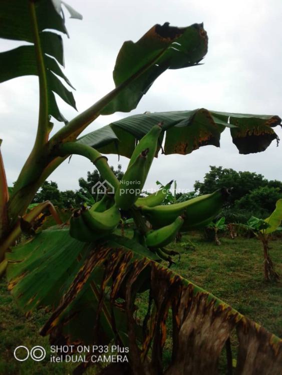20 Acres Farm Land, Eleyele, Ibadan, Oyo, Mixed-use Land for Sale
