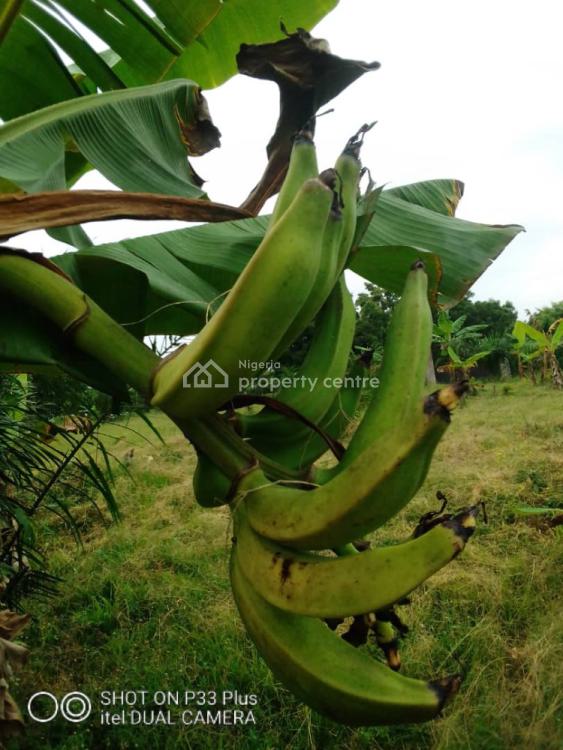 20 Acres Farm Land, Eleyele, Ibadan, Oyo, Mixed-use Land for Sale