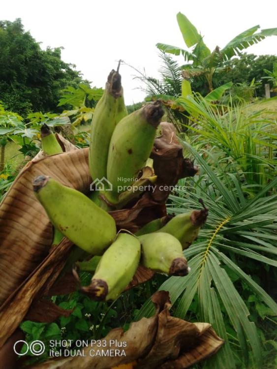20 Acres Farm Land, Eleyele, Ibadan, Oyo, Mixed-use Land for Sale