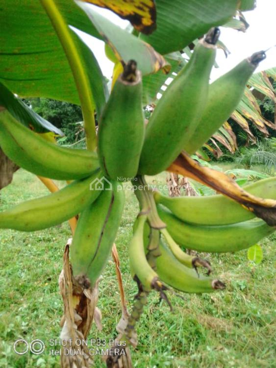 20 Acres Farm Land, Eleyele, Ibadan, Oyo, Mixed-use Land for Sale