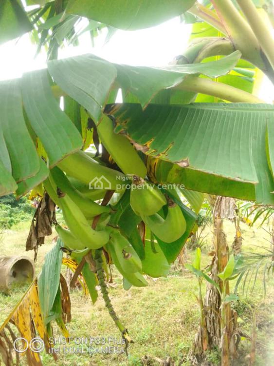 20 Acres Farm Land, Eleyele, Ibadan, Oyo, Mixed-use Land for Sale