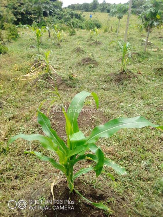 20 Acres Farm Land, Eleyele, Ibadan, Oyo, Mixed-use Land for Sale