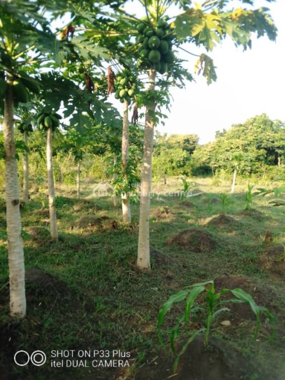 20 Acres Farm Land, Eleyele, Ibadan, Oyo, Mixed-use Land for Sale