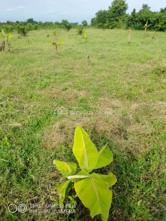 20 Acres Farm Land, Eleyele, Ibadan, Oyo, Mixed-use Land for Sale