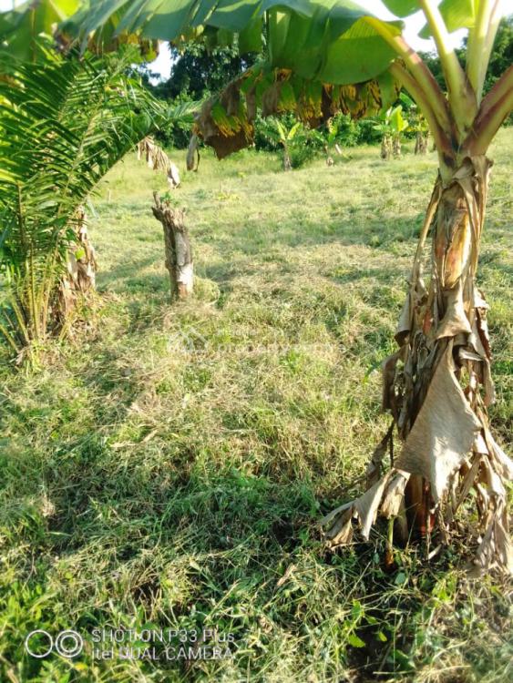 20 Acres Farm Land, Eleyele, Ibadan, Oyo, Mixed-use Land for Sale