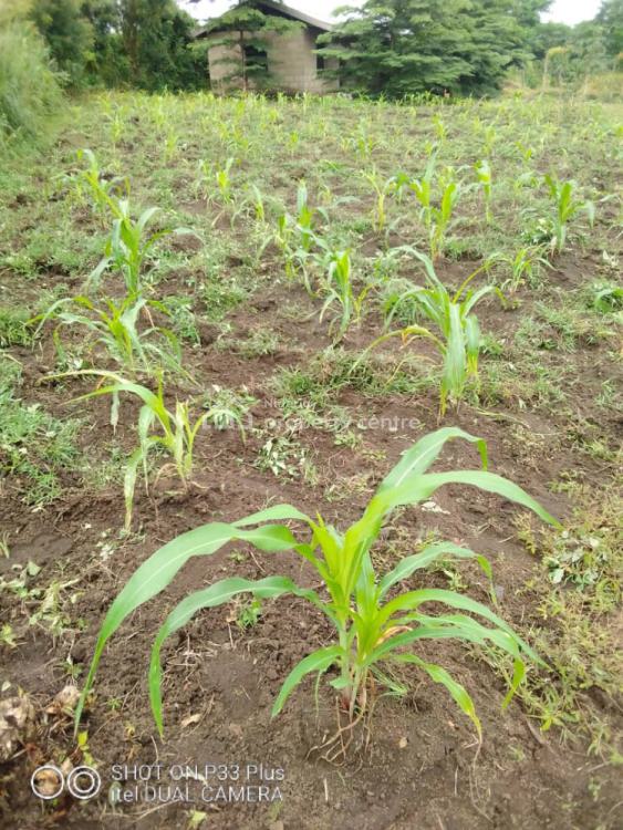 20 Acres Farm Land, Eleyele, Ibadan, Oyo, Mixed-use Land for Sale