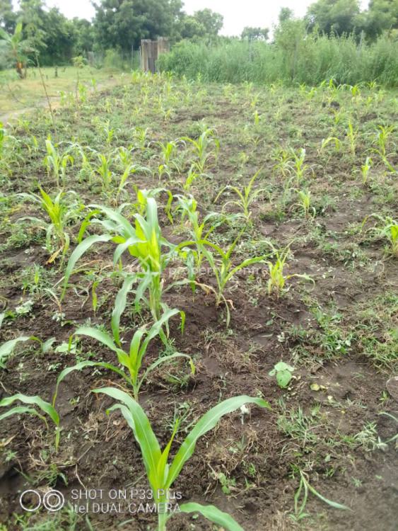 20 Acres Farm Land, Eleyele, Ibadan, Oyo, Mixed-use Land for Sale