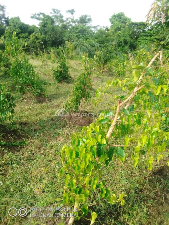 20 Acres Farm Land, Eleyele, Ibadan, Oyo, Mixed-use Land for Sale