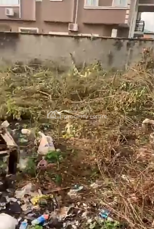 a Full Plot of Dry Land in a Built Up Developed Estate, Royal Palmwill Estate (remlek), Badore, Ajah, Lagos, Mixed-use Land for Sale