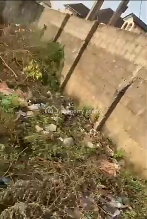 a Full Plot of Dry Land in a Built Up Developed Estate, Royal Palmwill Estate (remlek), Badore, Ajah, Lagos, Mixed-use Land for Sale