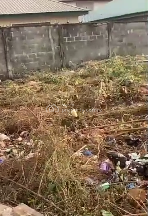 a Full Plot of Dry Land in a Built Up Developed Estate, Royal Palmwill Estate (remlek), Badore, Ajah, Lagos, Mixed-use Land for Sale