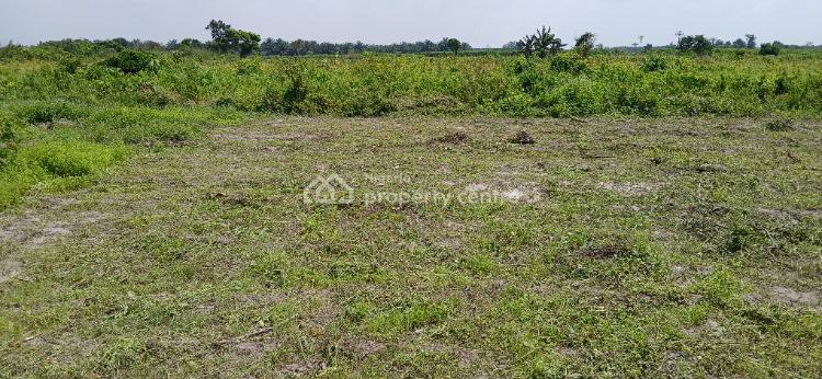 Land Banking Property with High Rate of Land Appreciation, Imodi-ijasi, Itokin/ljebu-ode Expressway, Ijebu Ode, Ogun, Mixed-use Land for Sale