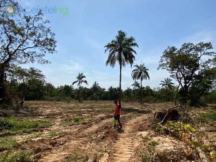a Sizeable Land, Ozubulu Street, Independence Layout, Enugu, Enugu, Residential Land for Sale