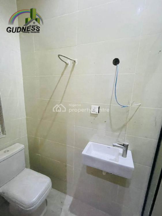 Brand New 2 Bedroom Luxury Flat with Quality Facilities, Ikate, Lekki, Lagos, Flat / Apartment for Rent