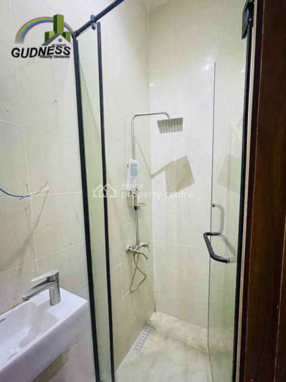 Brand New 2 Bedroom Luxury Flat with Quality Facilities, Ikate, Lekki, Lagos, Flat / Apartment for Rent