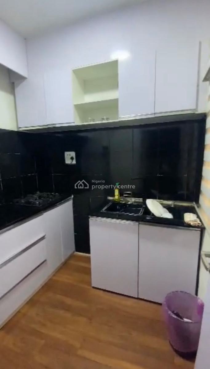 Fully Furnished 1 Bedroom Flat, Wuse 2, Abuja, Flat / Apartment for Rent