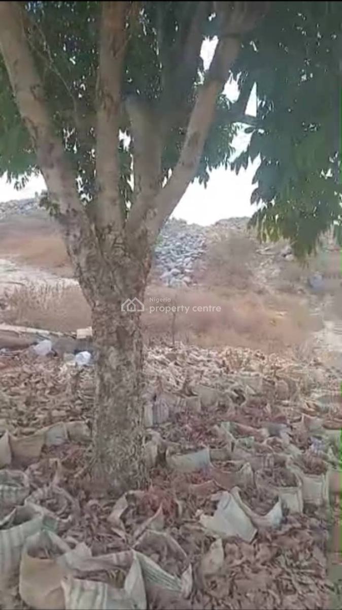 10 Hectres of Land with Right of Occupancy, Guzape District, Abuja, Mixed-use Land for Sale