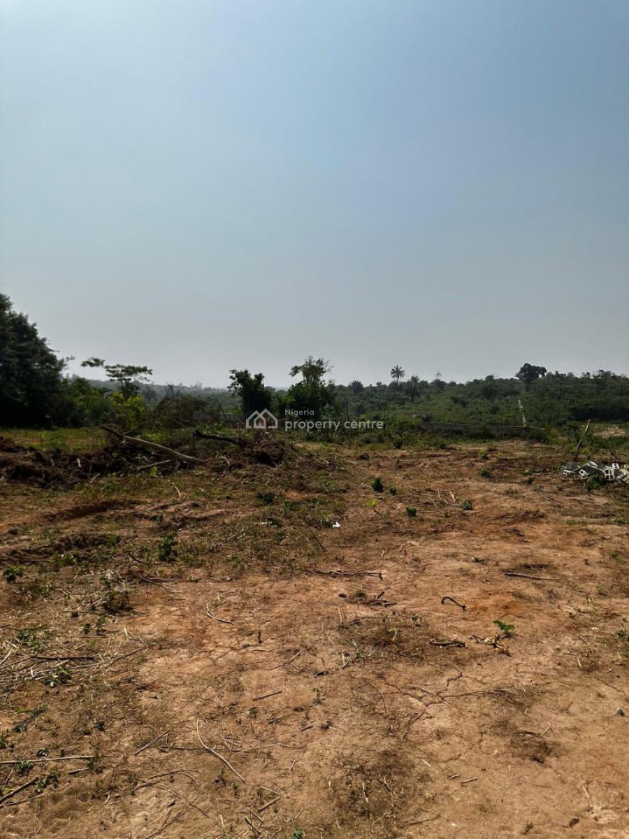 For Sale Don't Miss Out On The Biggest Valentine Deal Of The Century