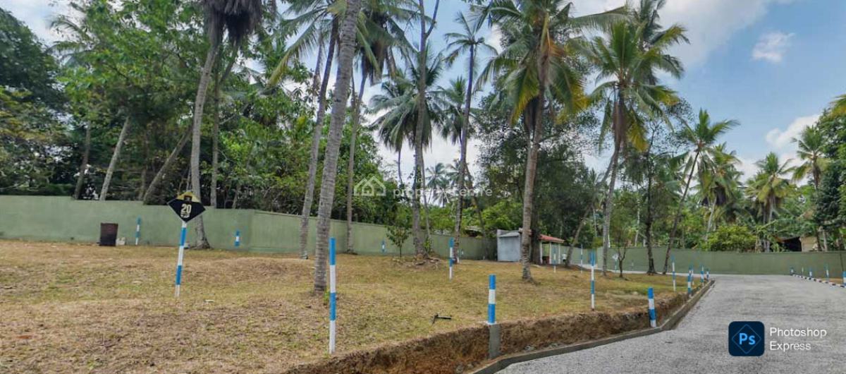 Expanse of Land, Western Avenue, Surulere, Lagos, Commercial Land for Sale