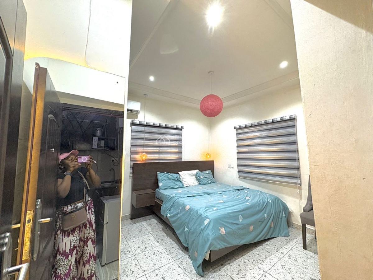 Fully Furnished Slefcon, Wuye, Abuja, Flat / Apartment for Rent