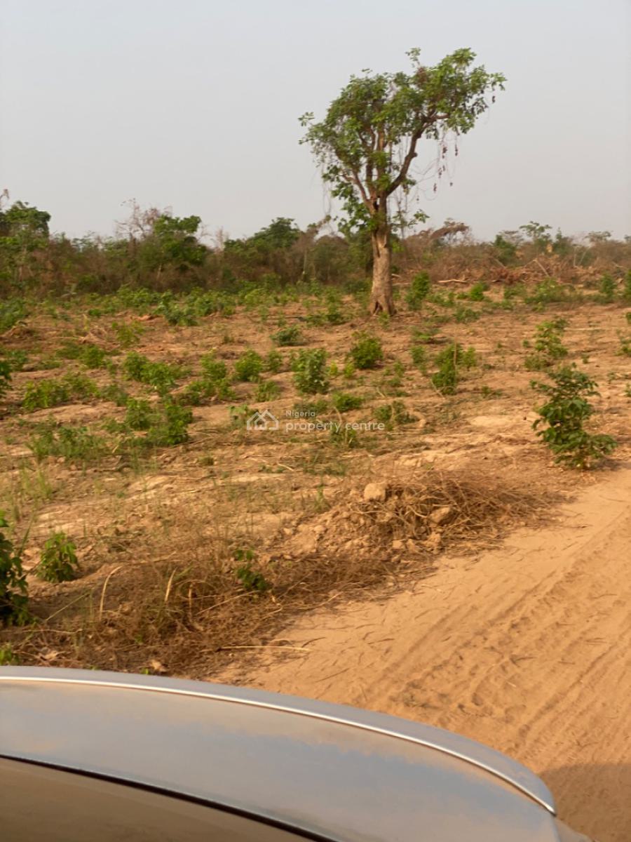 Fast Developing and Affordable  Land, Ogbeke Nike, Enugu, Enugu, Residential Land for Sale