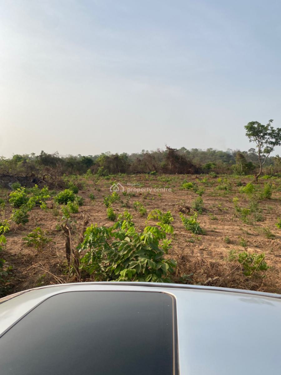 Fast Developing and Affordable  Land, Ogbeke Nike, Enugu, Enugu, Residential Land for Sale