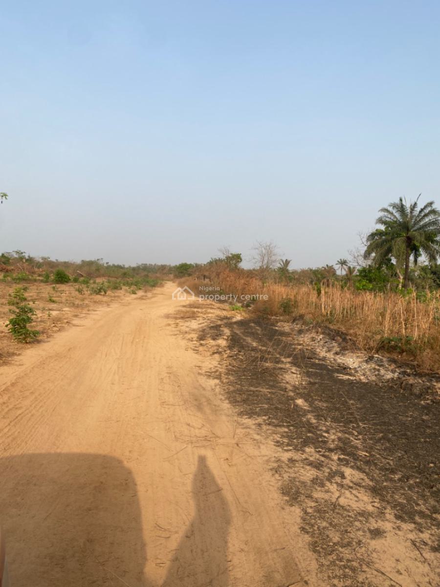Fast Developing and Affordable  Land, Ogbeke Nike, Enugu, Enugu, Residential Land for Sale