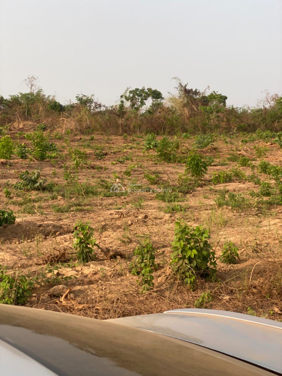 Fast Developing and Affordable  Land, Ogbeke Nike, Enugu, Enugu, Residential Land for Sale