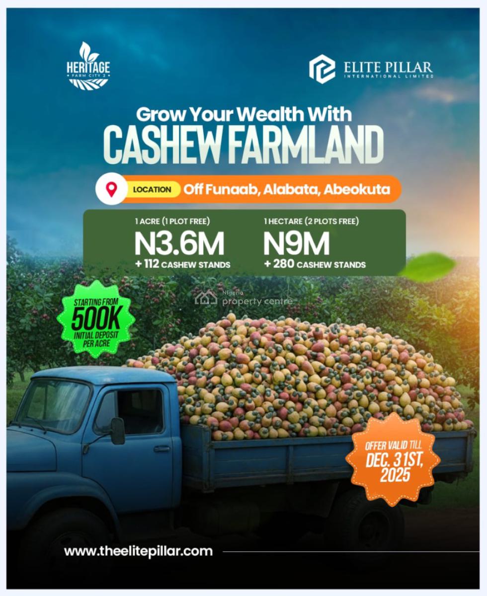 The Most Affordable  C of O, Agricultural Farm Land, Abeokuta South, Ogun, Commercial Land for Sale