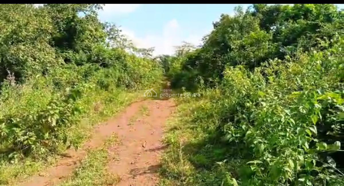 6 Plots of Land for Farming and Residential, Milebrook Farm City, Obafemi Owode, Ogun, Mixed-use Land for Sale