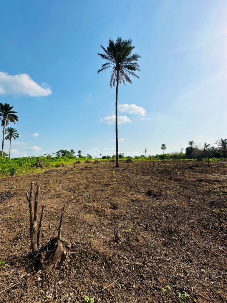 Own a Verified Freehold Land, Abeokuta South, Ogun, Land for Sale