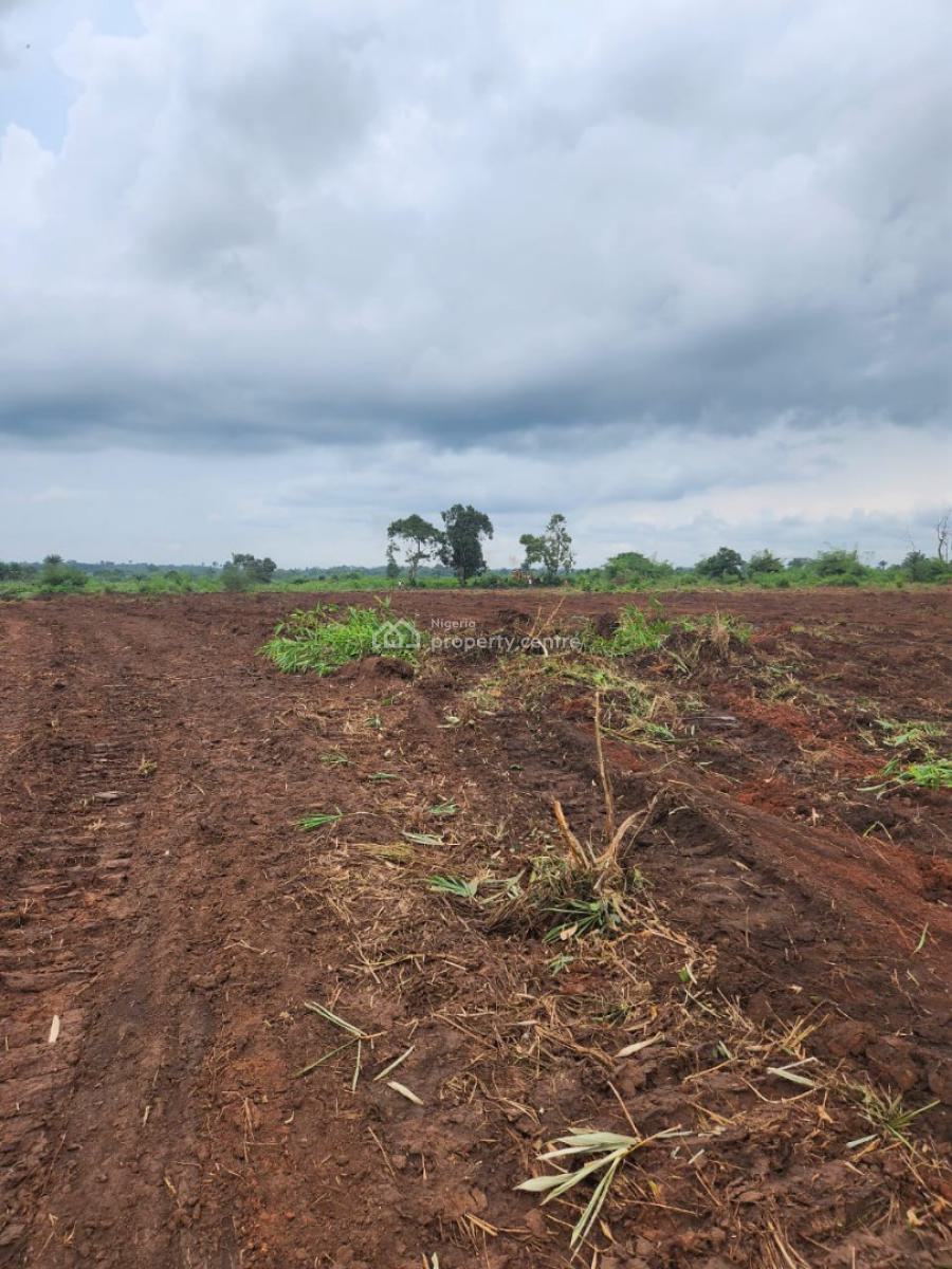 Verified Land in Prime Location, Landview Estate Isele Ukwu, Asaba, Delta, Commercial Land for Sale