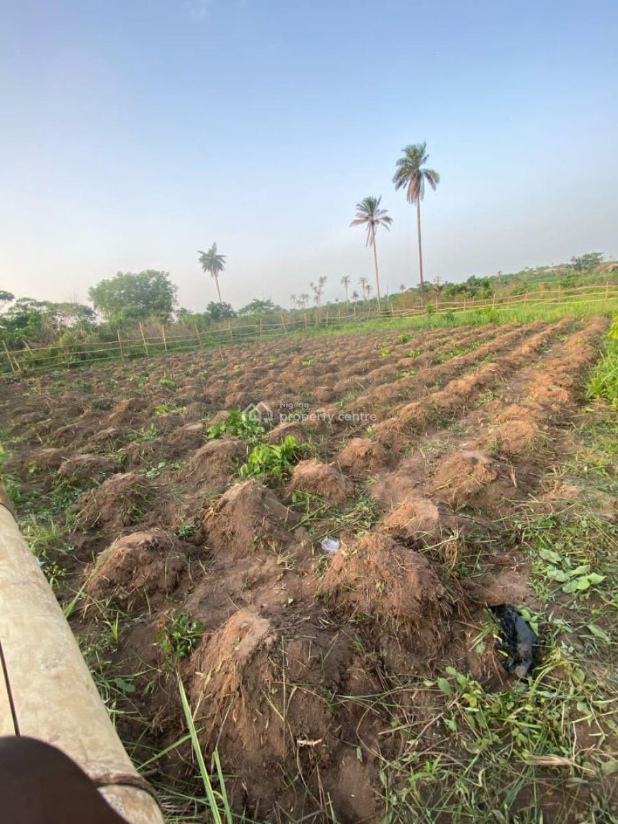 Secured Agricultural Land, Odeda, Ogun, Mixed-use Land for Sale