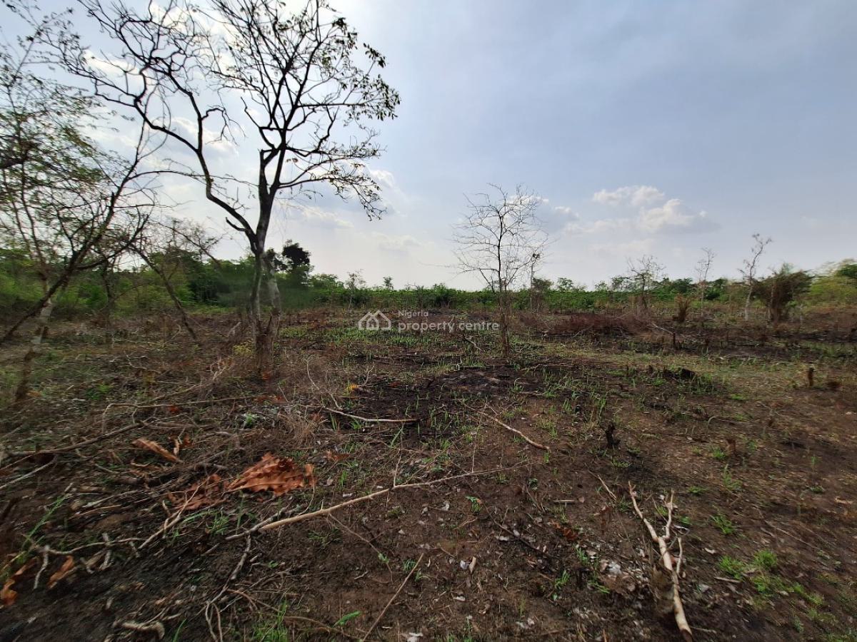 Acres of Farmland with a Promo Offer Suitable for Crop Farming, Off Funaab, Alabata Road, Odeda, Ogun, Mixed-use Land for Sale