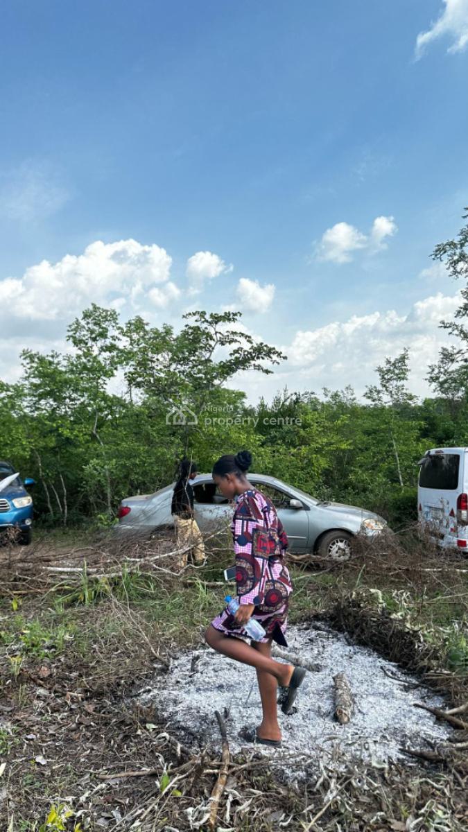 Own Acres of Farmland and Earn a Lot From Agriculture Without Stress, Off Funaab, Alabata Road, Odeda, Ogun, Mixed-use Land for Sale