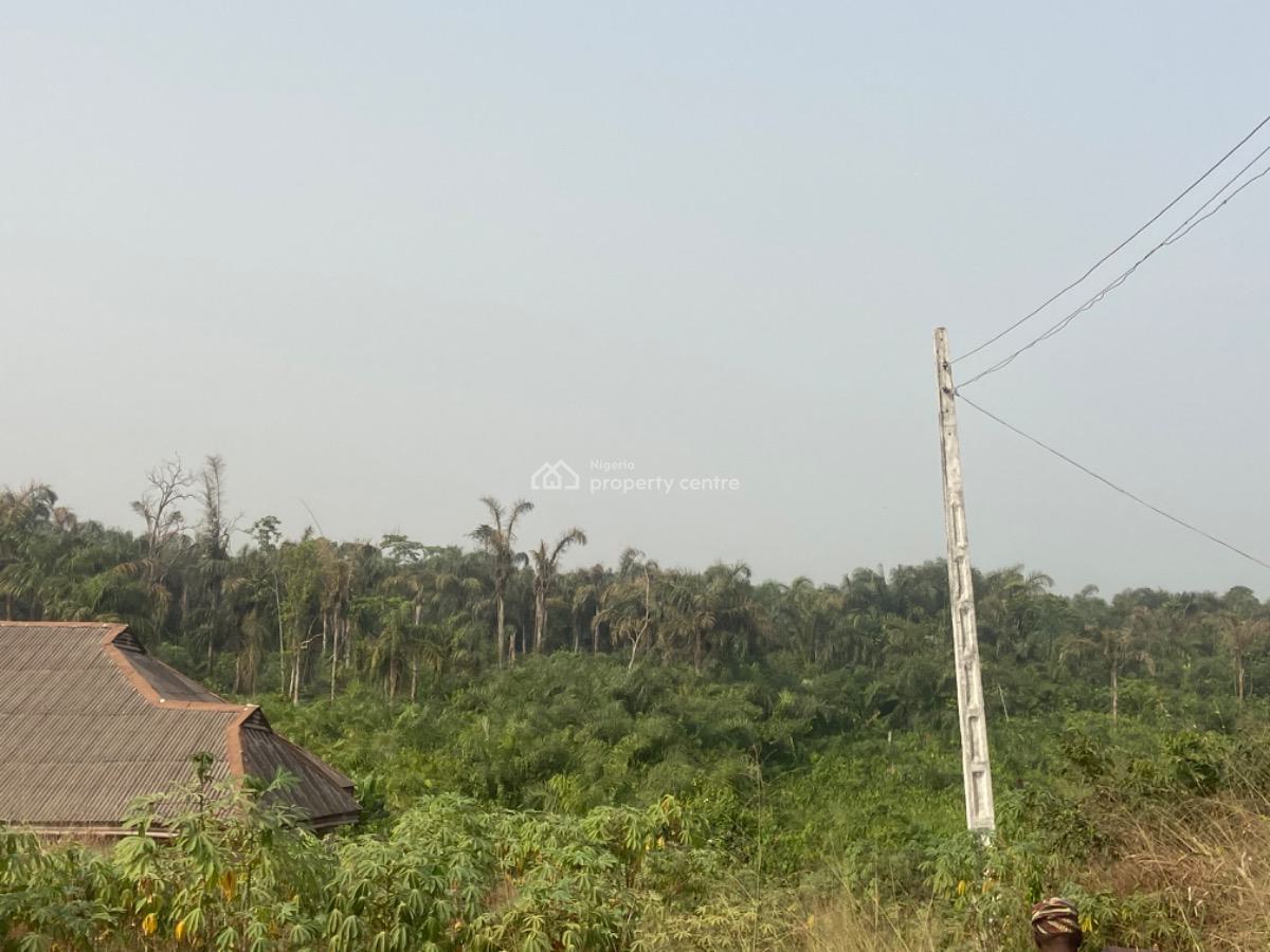 Most Affordable Land, Imowo Nla, Ikorodu, Lagos, Mixed-use Land for Sale