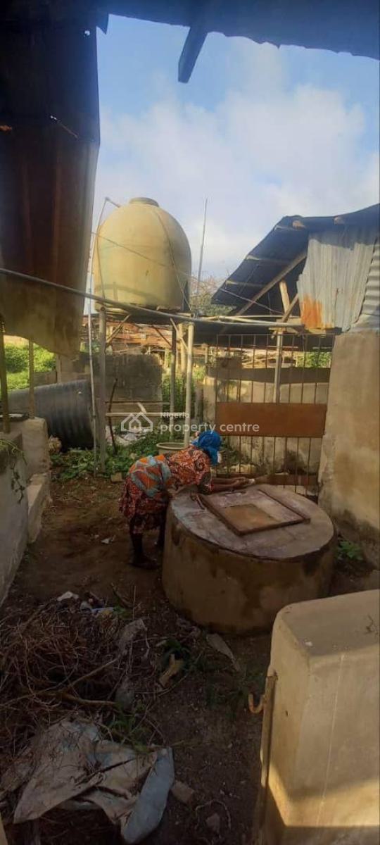 Standard 2 Piggery Farm Pen, Oke Aro Piggery Farm, Ifako-ijaiye, Lagos, Commercial Property for Sale